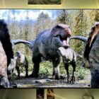 Life on Our Planet