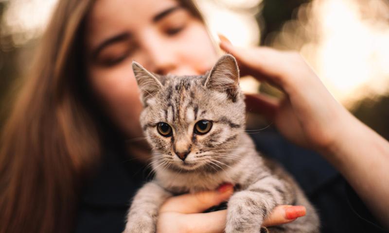 Les excuses des chats à leurs propriétaires