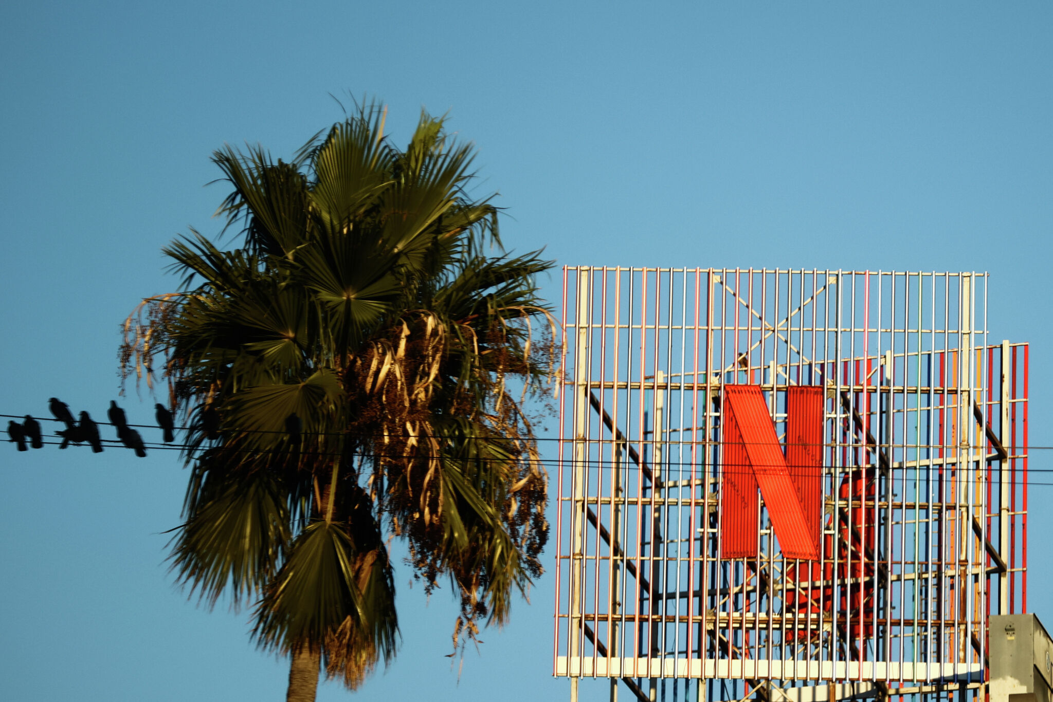 Netflix dévoile ses premières données et explique pourquoi il dépensera 17 milliards l’année prochaine