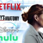 Netflix & Disney's New Deal Brings 'Grey's Anatomy' to Hulu/Disney+