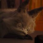 Sabine's Loth Cat Stream Now Available on Disney+