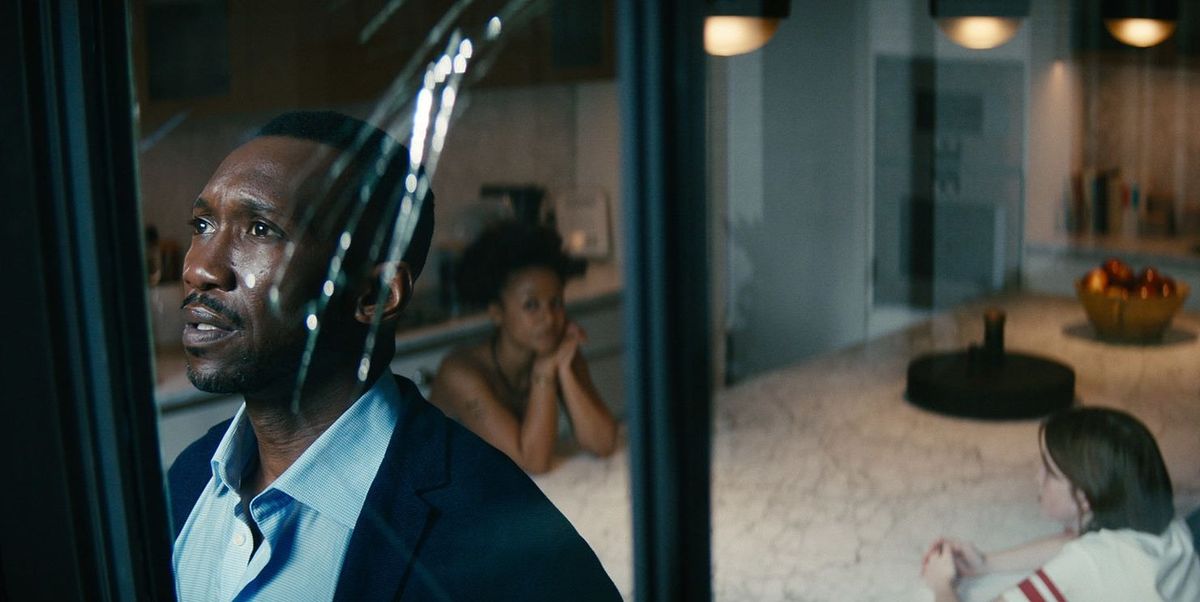 Suite prévue pour le film Netflix?