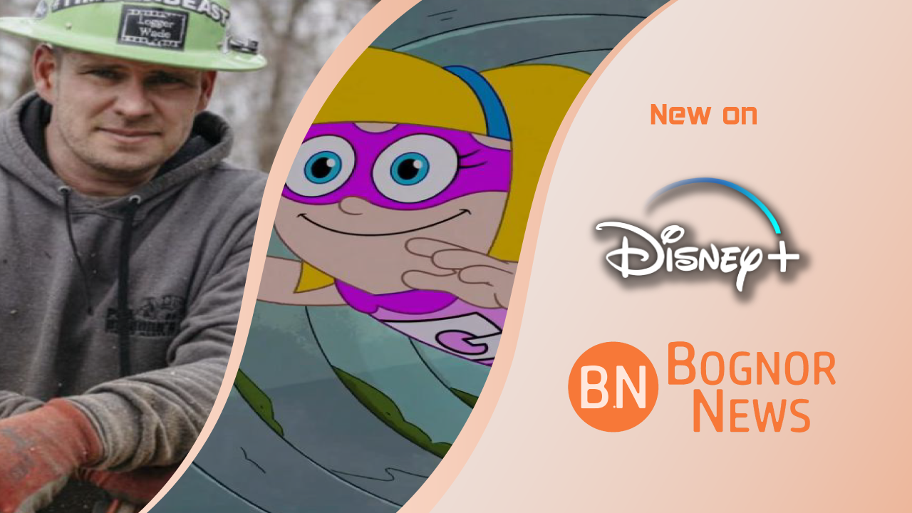 Tout ce qui arrive sur Disney+ en janvier 2024 : films, séries originales