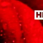 Every HDR TV Format Explained