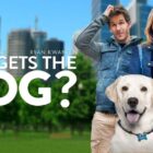 Who Gets the Dog? Streaming: Watch & Stream Online via Amazon Prime Video and Starz