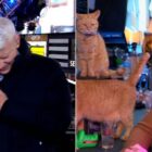 Anderson Cooper and John Mayer on CNN New Year