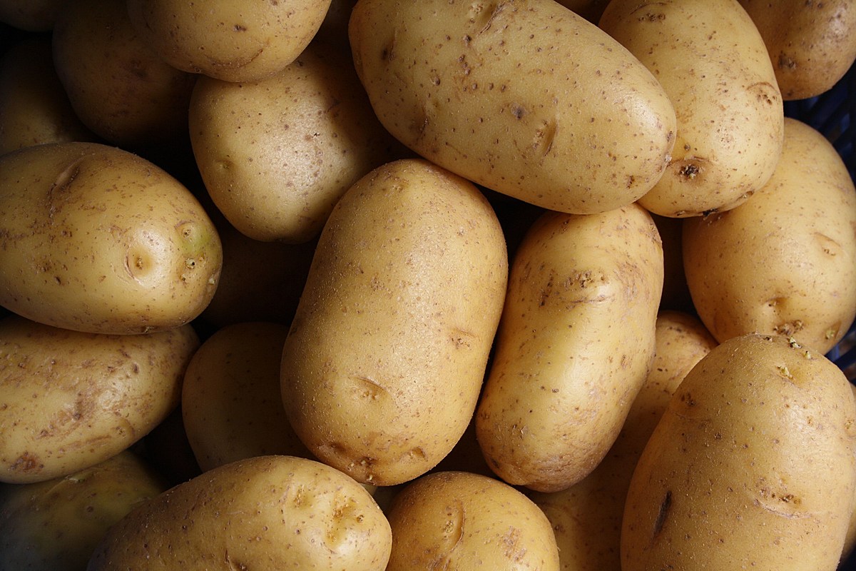 Boise, la meilleure partie de l’Idaho : bien plus que des pommes de terre