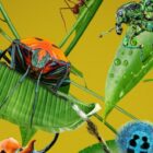 Disney+ ‘A Real Bug’s Life’ Narrated By Awkwafina Drops Clip – Deadline