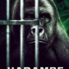 Harambe Documentary Spearheaded By SPHS Alumni