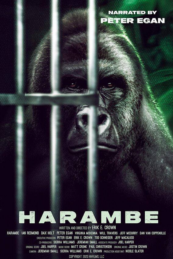 Documentaire sur Harambe dirigé par un ancien élève de SPHS
