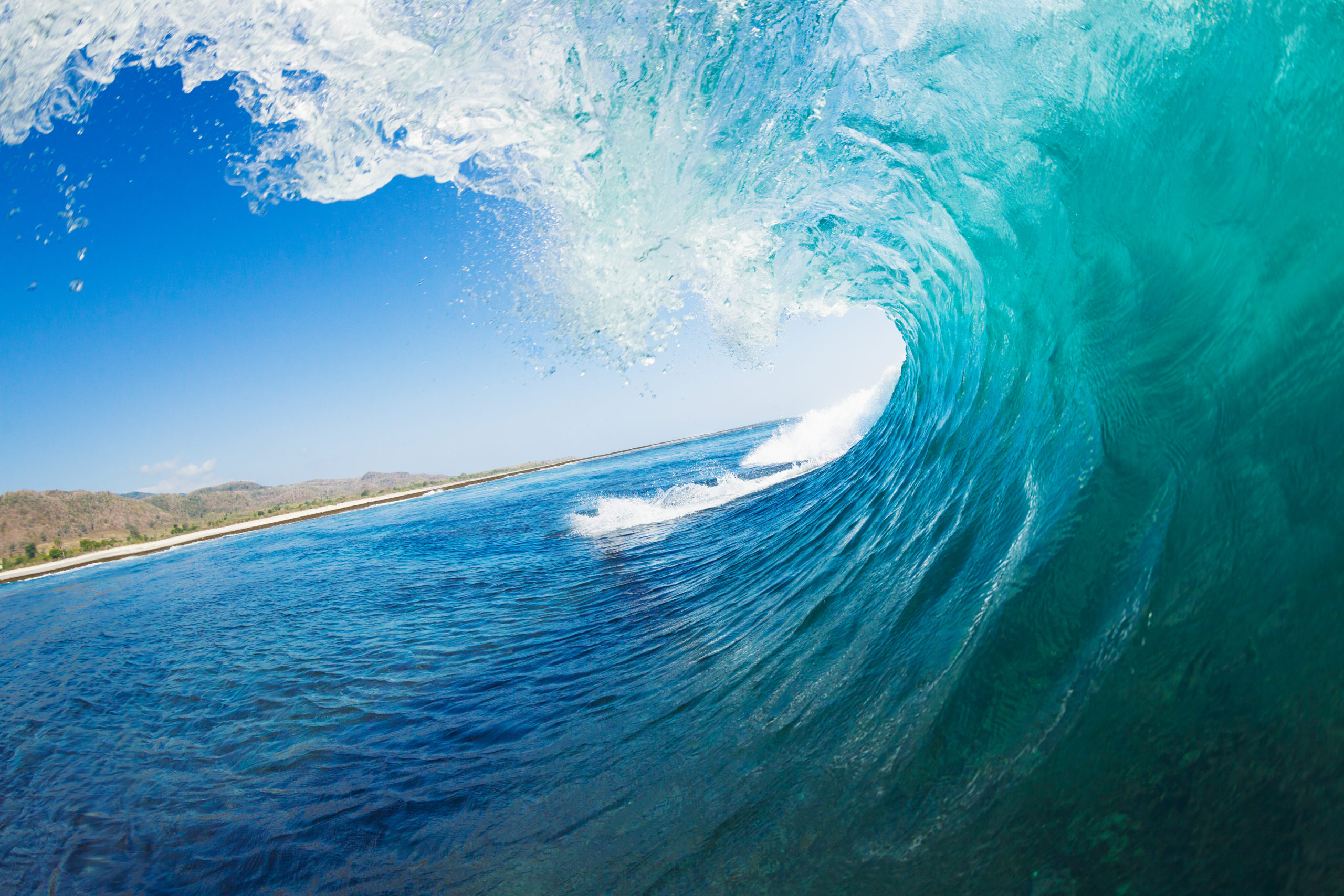FOX recherche des acteurs pour une nouvelle série dramatique sur les sauveteurs HI-Surf
