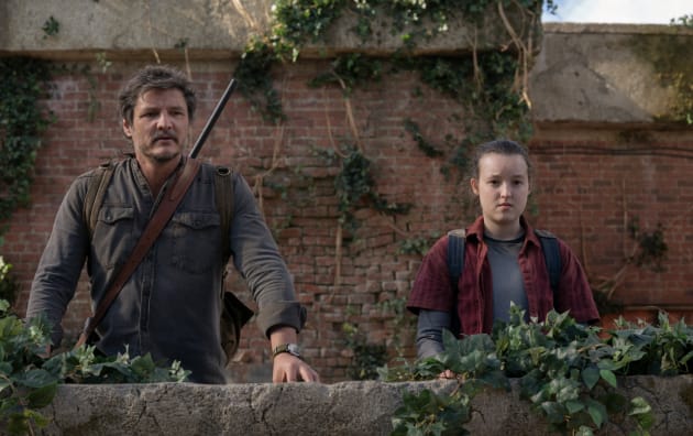 Fanatic Feed: casting final de Last of Us, Our Flag Means Death annulé & plus