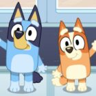 Bluey and Bingo