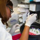 To make science more approachable, 'Curiosity' series takes viewers behind the scenes of scientists' lives