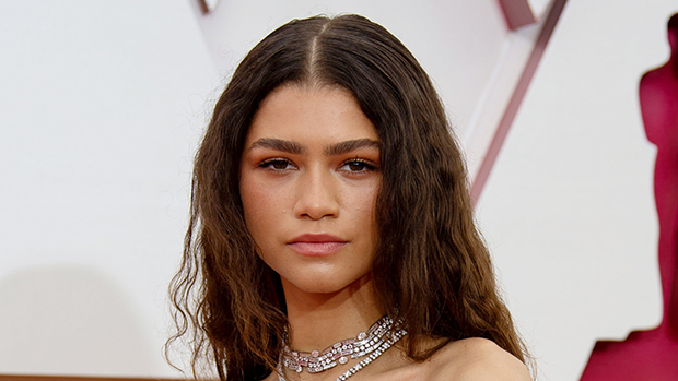 Le crayon à sourcils préféré de Zendaya – Hollywood Life