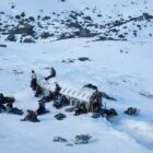 'Society Of The Snow' Leads Netflix's Global Top 10