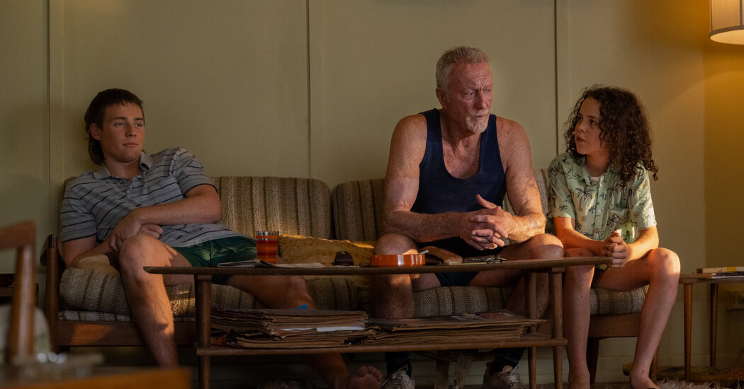 Les meilleurs films à regarder ce week-end: “Boy Swallows Universe”