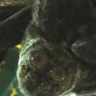 You had us at “friendly alien space spider”: Netflix drops Spaceman trailer