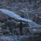 Park Hee-soon in Netflix