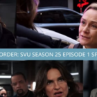 Season 25 Episode 1 Spoilers - Law & Order: SVU