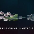 Bad Romance TV show on ABC: canceled or renewed?