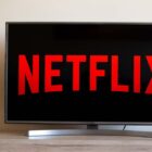 Netflix logo on a TV screen next to a vase of flowers