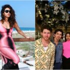 Priyanka Chopra Thanks Fans On Instagram As They Chant Jiju During Nick Jonas Performance At Lollapalooza