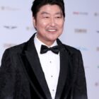 Parasite Star Song Kang-ho Leads Disney+ & Hulu Series