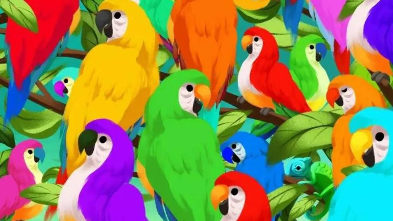 Test de QI sur l’illusion optique : Trouvez-vous le caméléon caché parmi les perroquets en 9 secondes? Seulement 5% réussissent