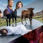 Every TV Series Coming to Paramount+ in January 2024