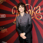 Timothée Chalamet attends the "Wonka" Canadian Fan Screening at Cineplex Cinemas Yorkdale on Decem...