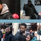 Chicago PD Season 11 Episode 5 Spoiler Collage