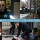 Chicago PD Season 11 Episode 6 Collage