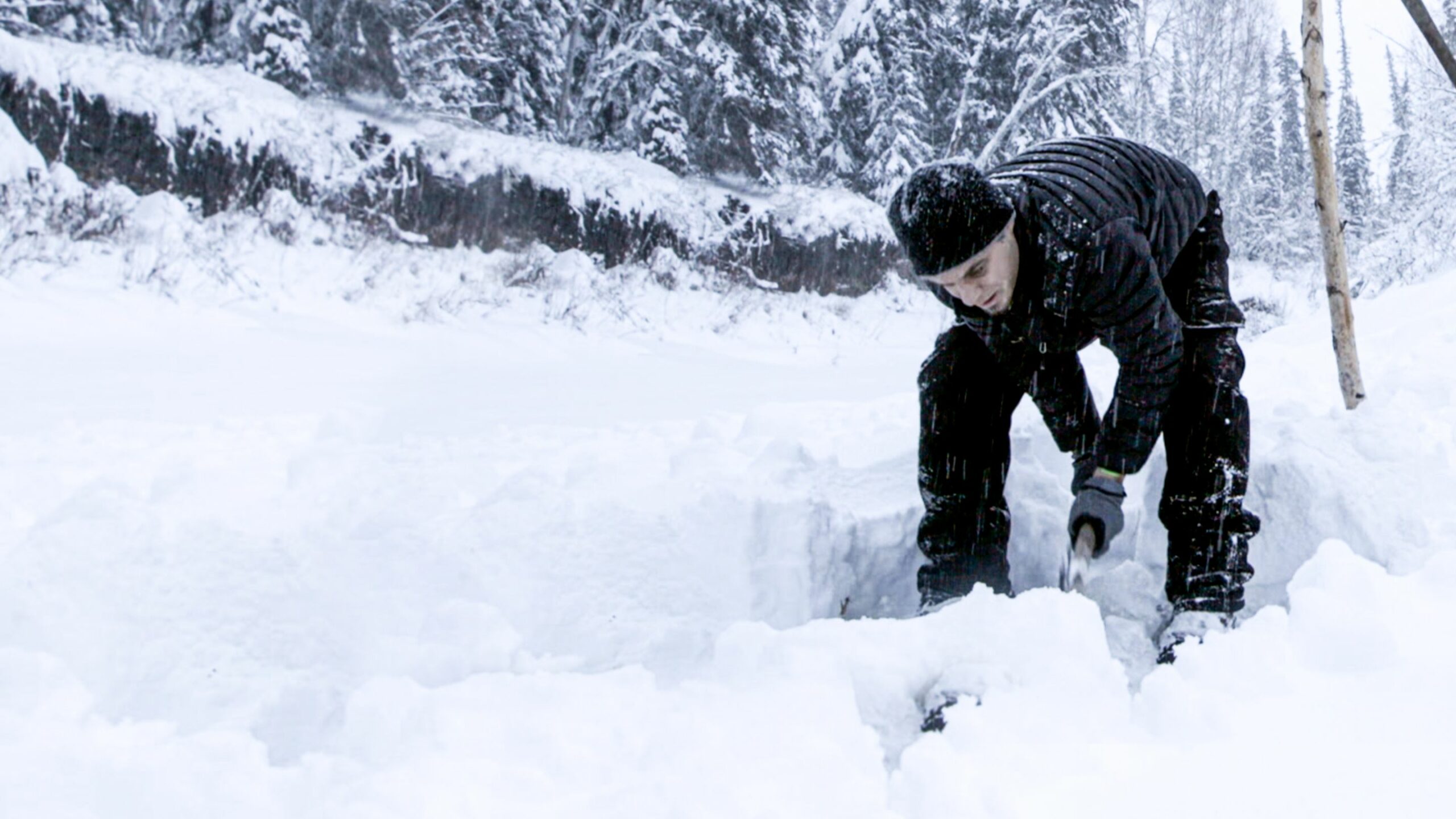 Comment regarder Life Below Zero: Next Generation en Australie sur Disney+