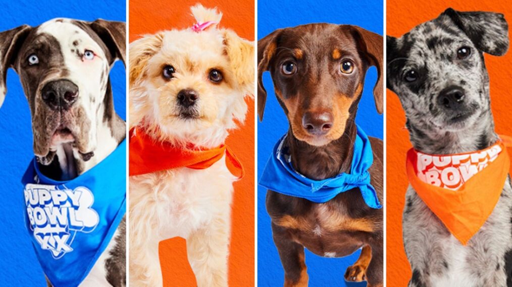 Découvrez la sélection de joueurs adorables pour le 20e anniversaire (PHOTOS)