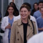 'Grey's Anatomy' Enters Its 20th Season