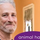 Jon Stewart Helps NYC Animal Shelter Raise $25K After Tearful Dog Tribute