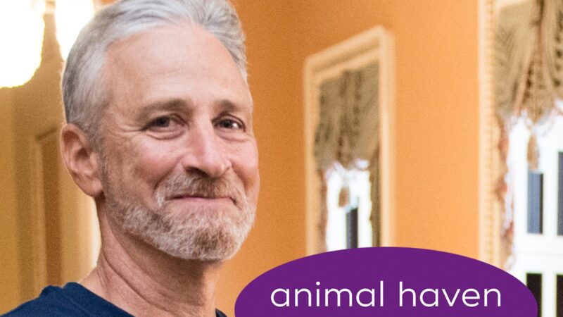 Jon Stewart booste collecte fonds abri animaux NYC suite hommage émouvant chien