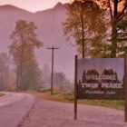 Happy Twin Peaks Day 2024: The annual significance of 24 Feb for the cult show's fanbase & how to celebrate