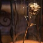 The Golden Rose on 