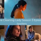 The Cleaning Lady Season 3 Episode 1 Spoilers Collage