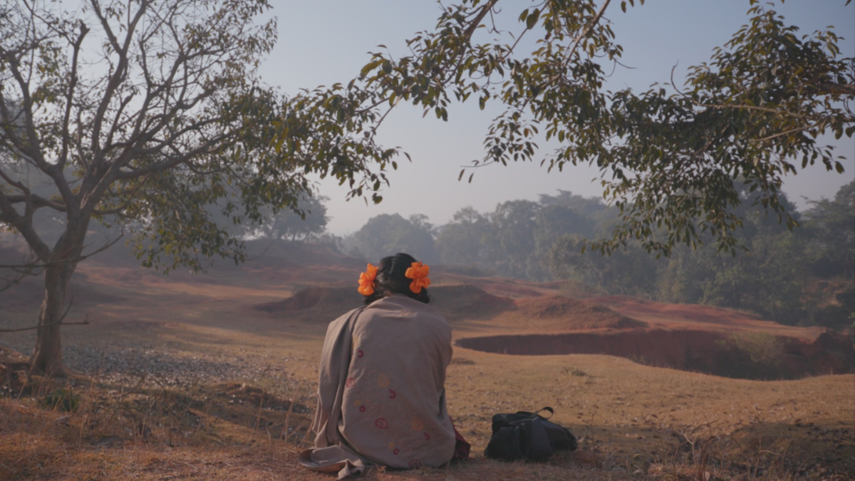 Netflix acquiert le documentaire nominé aux Oscars “To Kill a Tiger”