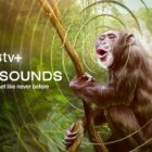 Apple Earthsounds