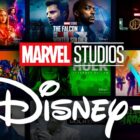 Marvel Studios shows, Disney+ logo