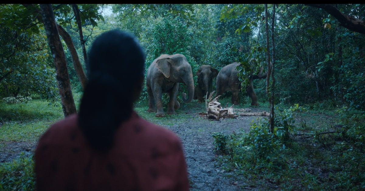Nouvelle série indienne d’Amazon : intense et essentielle