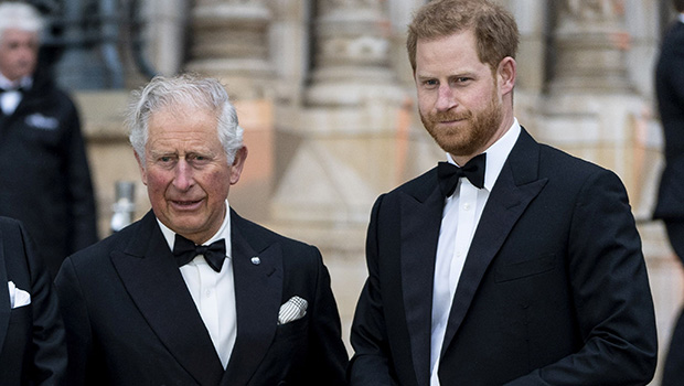 Prince Harry prêt à reprendre ses devoirs royaux – Hollywood Life