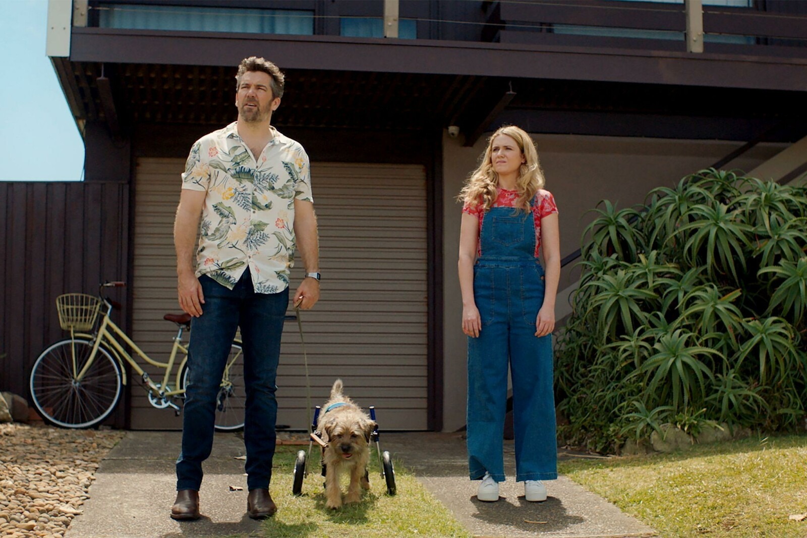 Saison 2 de la série comique australienne Colin from Accounts reprise par Paramount+ – annulations et renouvellements de séries TV, audiences