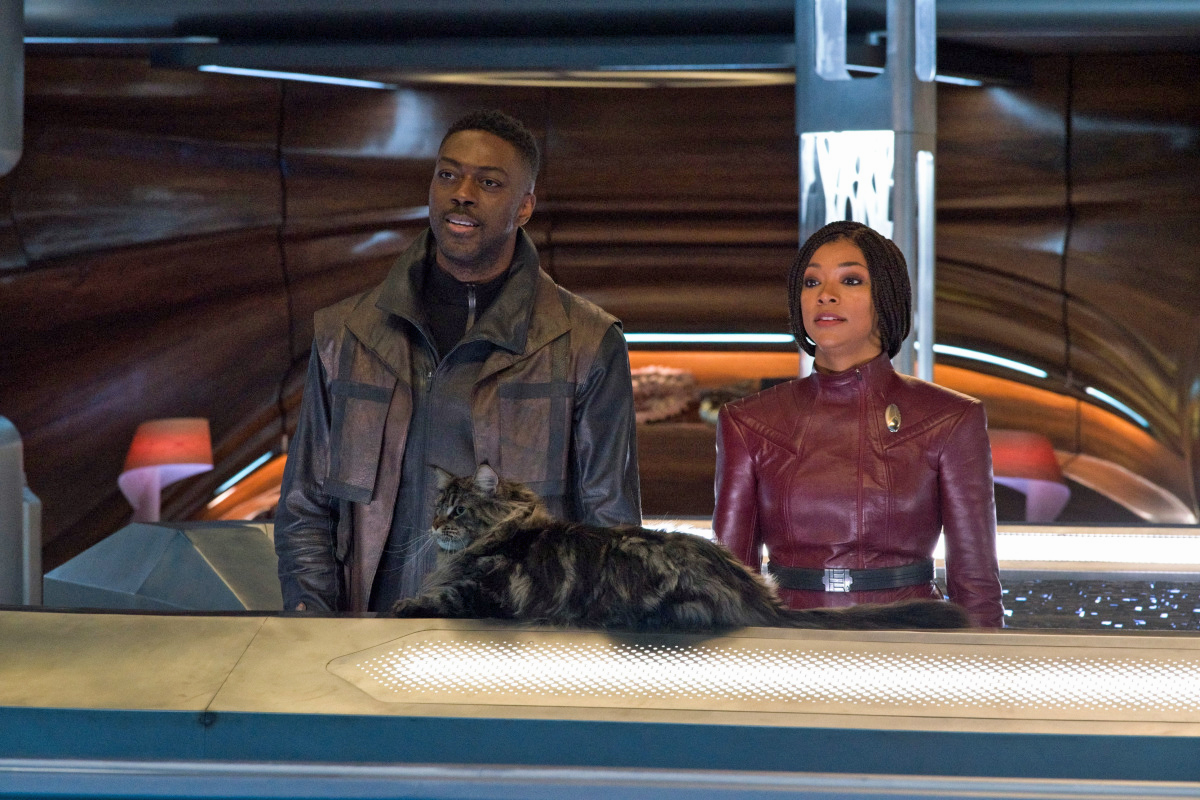 Star Trek: Discovery saison 5 annulée ou renouvelée? Résultats des audiences