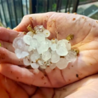 Storms slam state, Netflix announces additional tax for Florida subscribers
