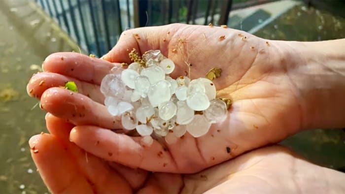 Tempêtes dévastatrices en Floride, Netflix annonce une taxe supplémentaire